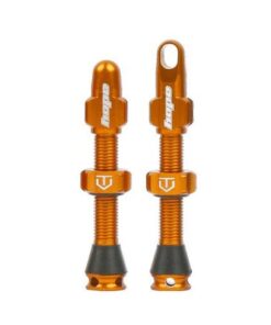 Valves tubeless Hope Bronze