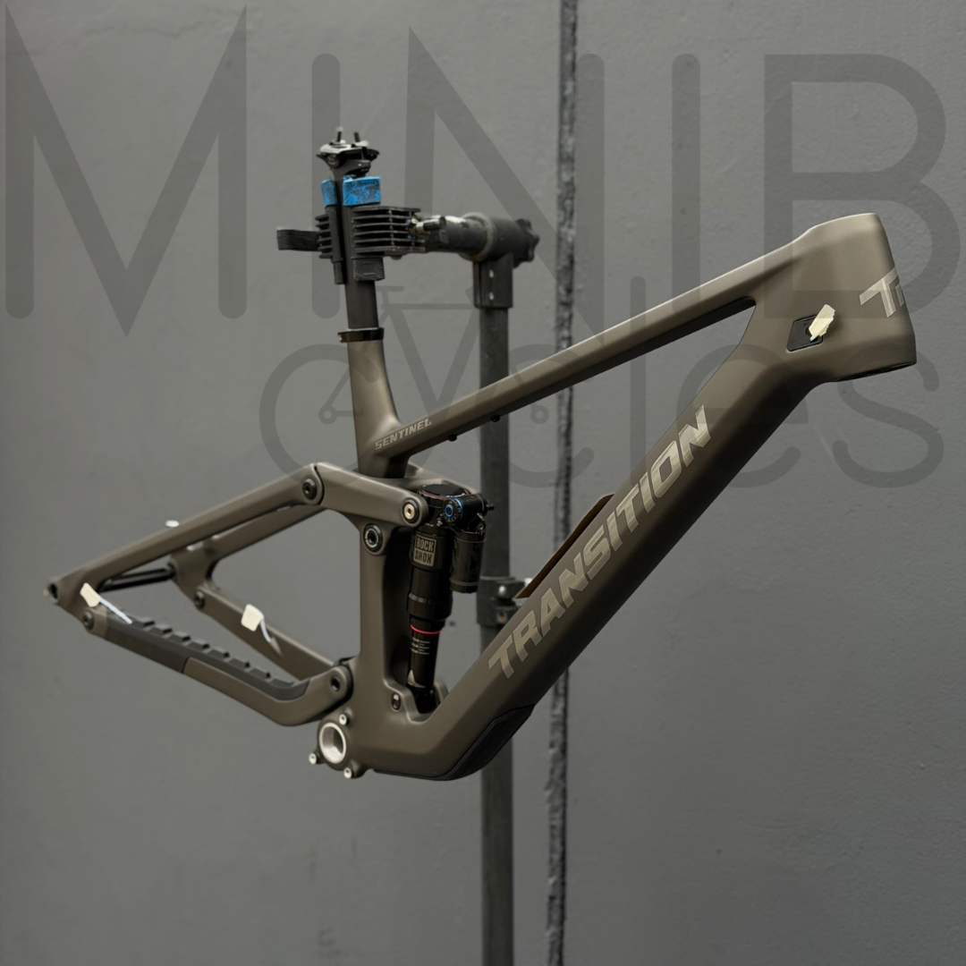TRANSITION Sentinel Carbon 2025