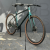 MARIN DSX 1