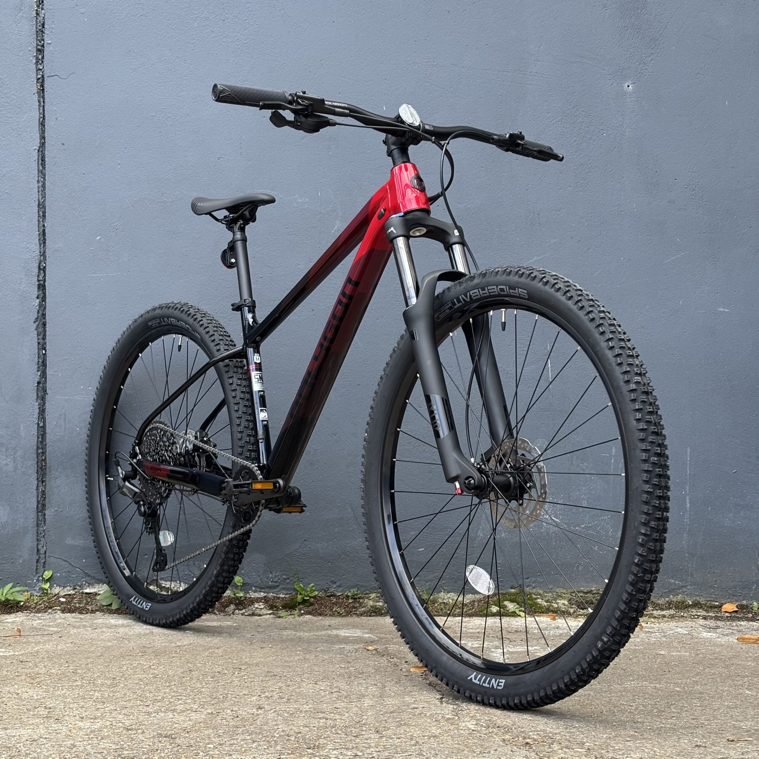 Polygon Xtrada 6