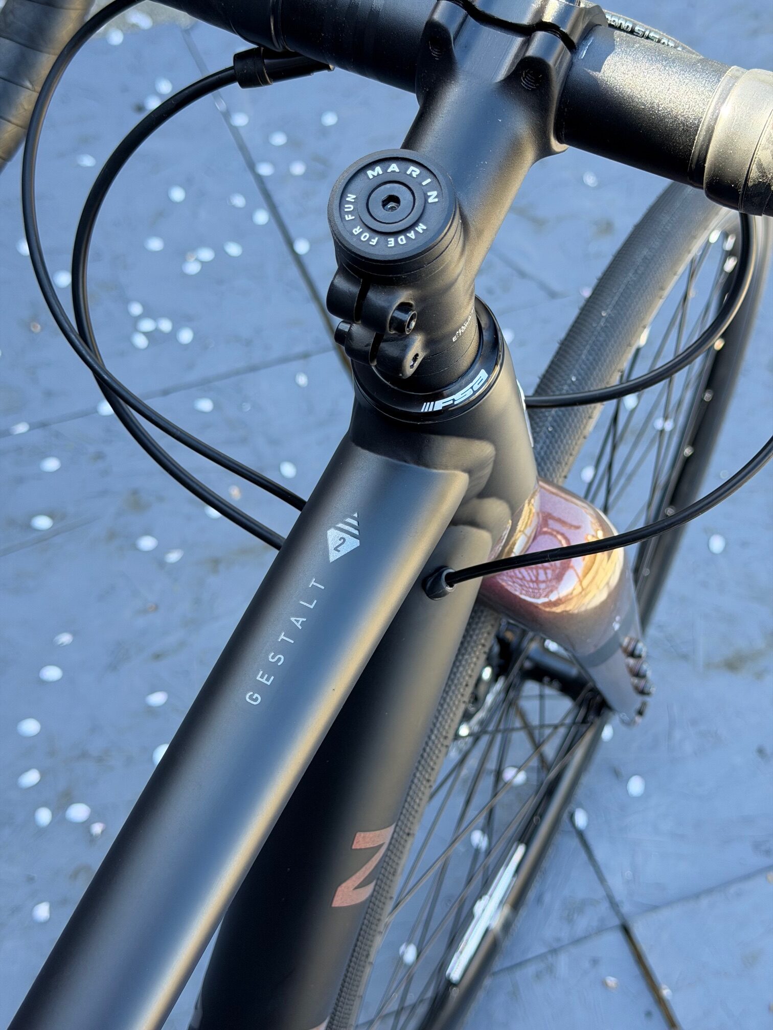 MARIN Gestalt 2.5 | Black Red – Image 6