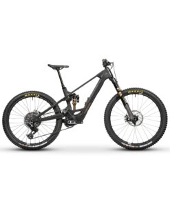 FORBIDDEN Druid E 1