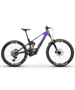 FORBIDDEN Druid E 2