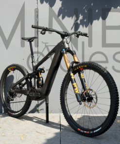 SANTA CRUZ Bullit