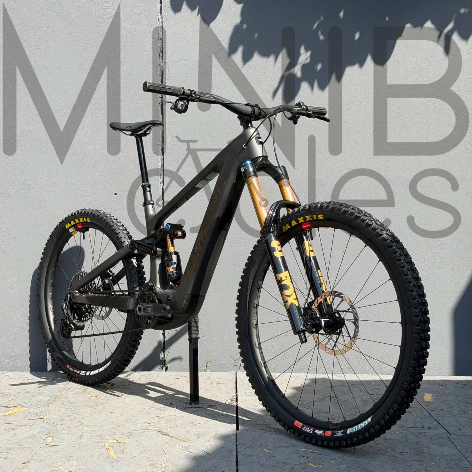 SANTA CRUZ Bullit