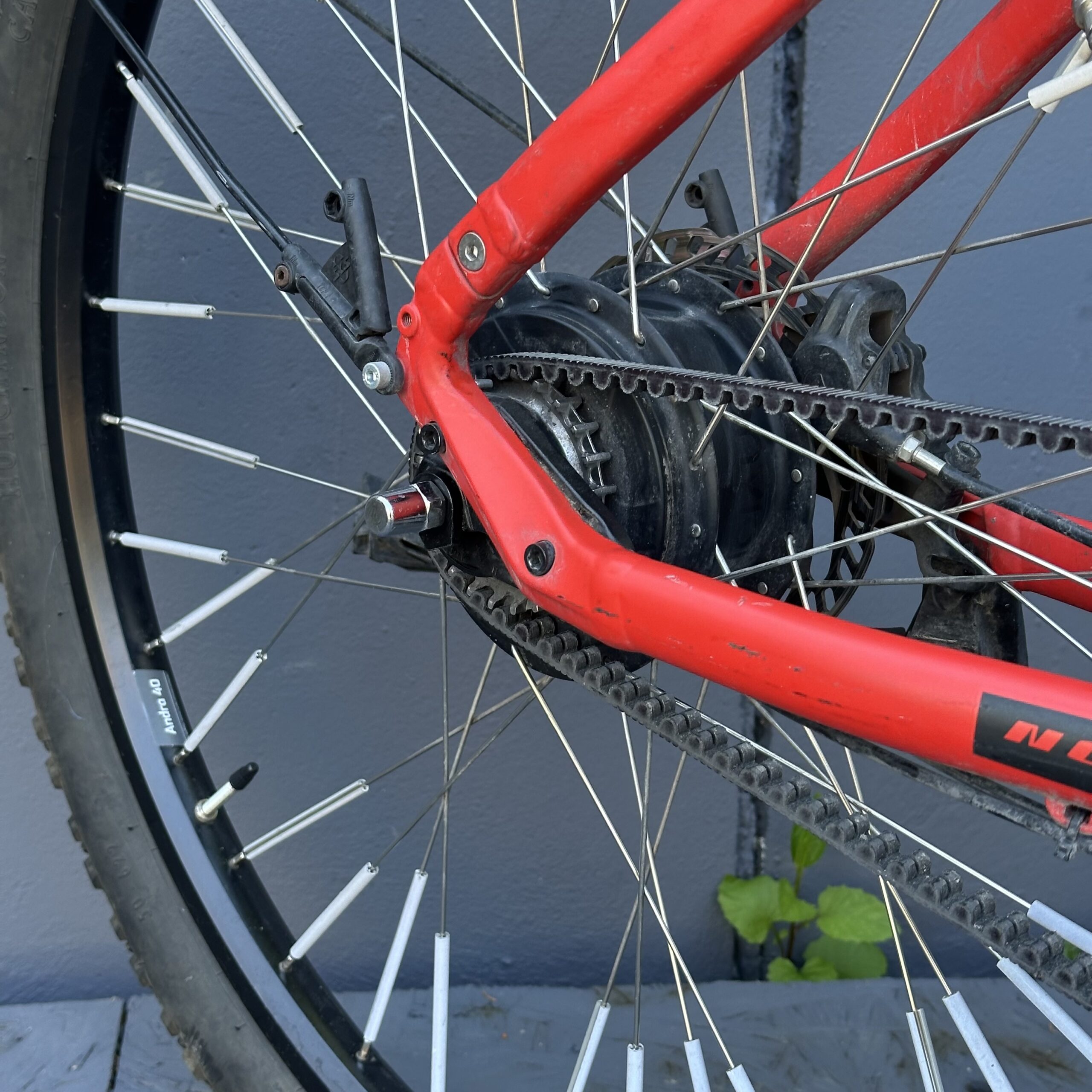 VAE Norta B-6040 Occasion | VTC électrique 2026 | Bosch Performance Line CX – Image 4