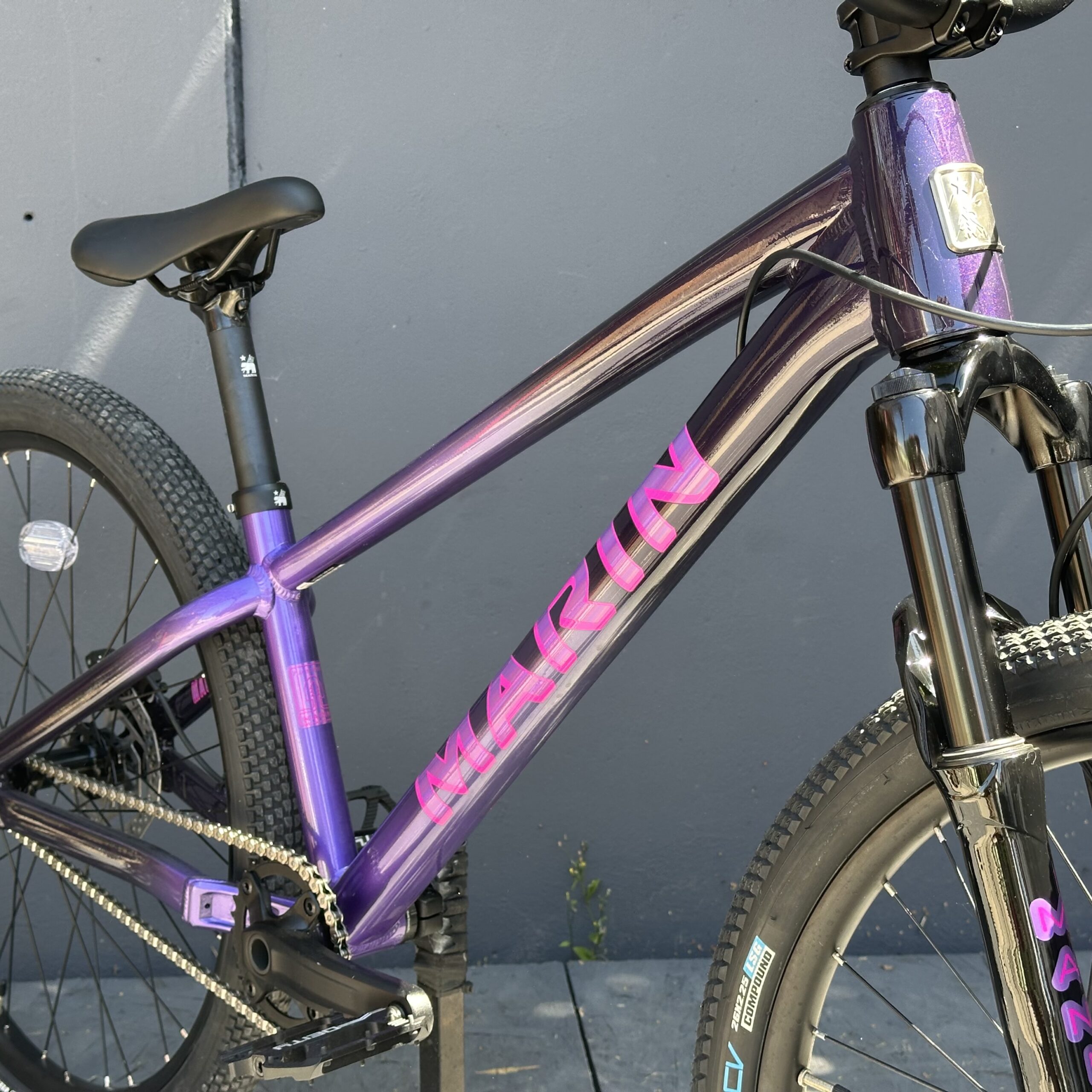 MARIN Alcatraz 2 2025 | Dirt – Image 3