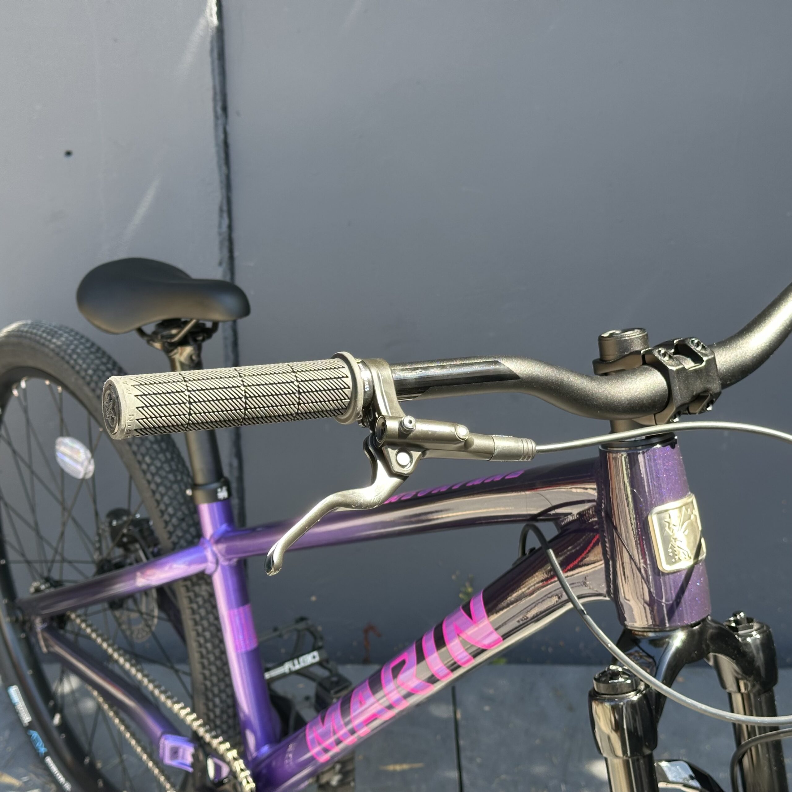 MARIN Alcatraz 2 2025 | Dirt – Image 6