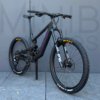 SANTA CRUZ Bronson