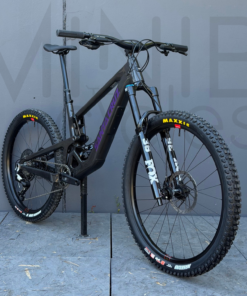 SANTA CRUZ Bronson