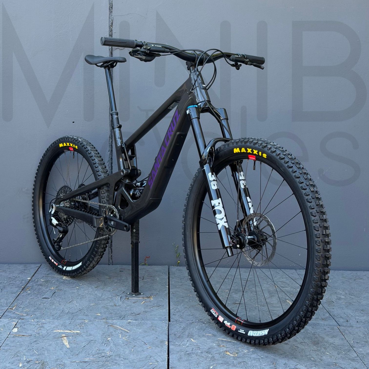 SANTA CRUZ Bronson