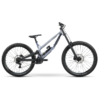 NORCO Team DH 2 Rock Shox